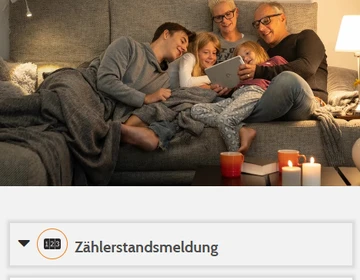 Screenshot - so sieht das neue Netzportal der GSW aus