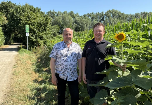 Mit den Sonnenblumen strahlen Landwirt Henrik Wortmann (r.) und Thomas Gaide, Vertriebsleiter der GSW, um die Wette. Sie blicken beim Ortstermin auf eine erfolgreiche Kooperation zurück.  